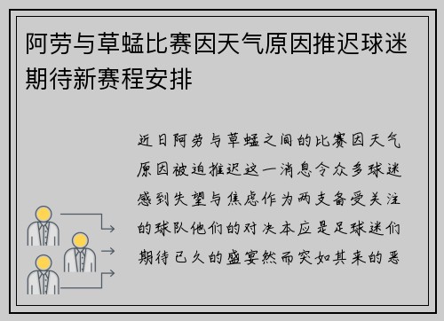 阿劳与草蜢比赛因天气原因推迟球迷期待新赛程安排
